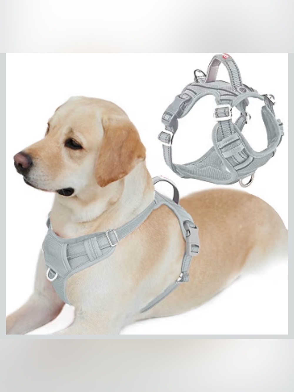 BARKBAY No Pull Dog Harness for Large Dogs,ID Tag Holder Dog Vest L. 523/DB-1:v